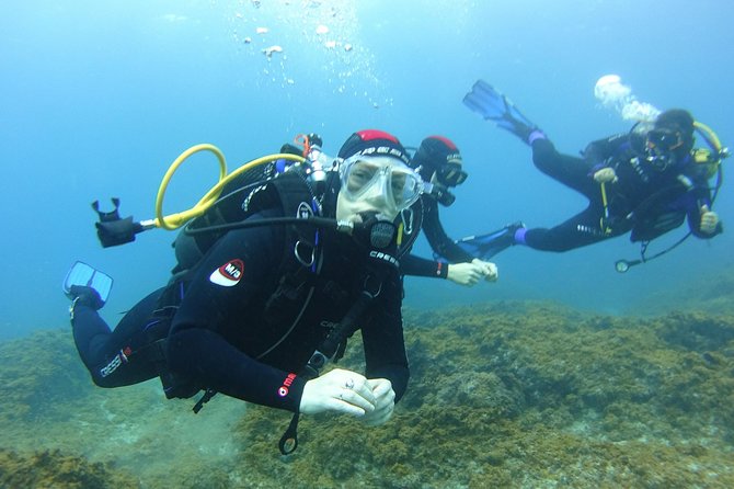 Discover Scuba Diving, Free Pictures Included - Overview of the Experience