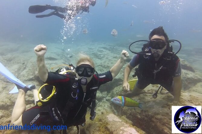 Discover Scuba Diving, Free Pictures Included - Underwater Volcanic Formations and Wildlife