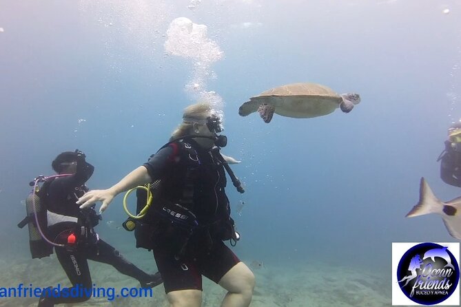 Discover Scuba Diving, Free Pictures Included - Hassle-free Transportation and Meeting Point
