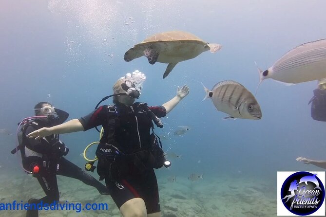 Discover Scuba Diving, Free Pictures Included - Health and Safety Considerations