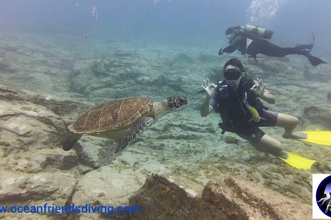 Discover Scuba Diving, Free Pictures Included - Booking and Cancellation Policy