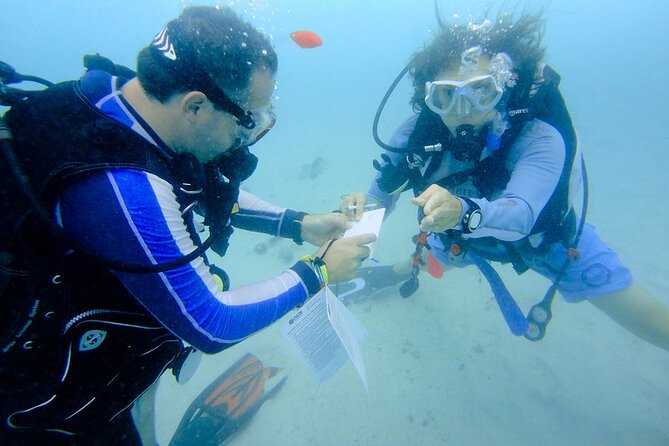 Discover Scuba Diving From a Fishing Village - Personalized Diving Experiences