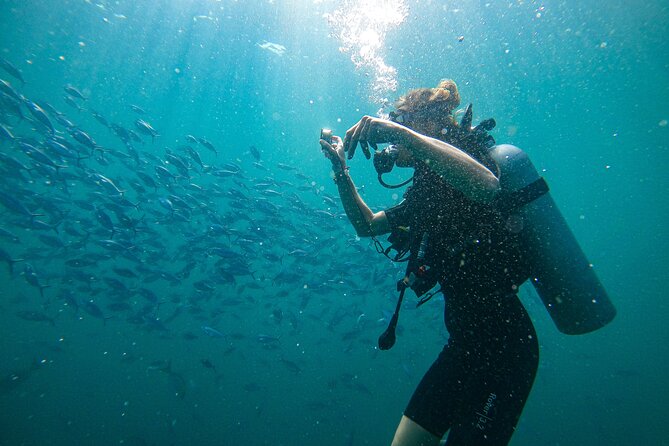 Discover SCUBA Diving in Beautiful Unawatuna Bay - Operating Hours and Reservation Details