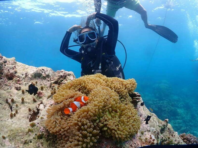 Discover Scuba Diving in Boracay - Practical Details and Tips