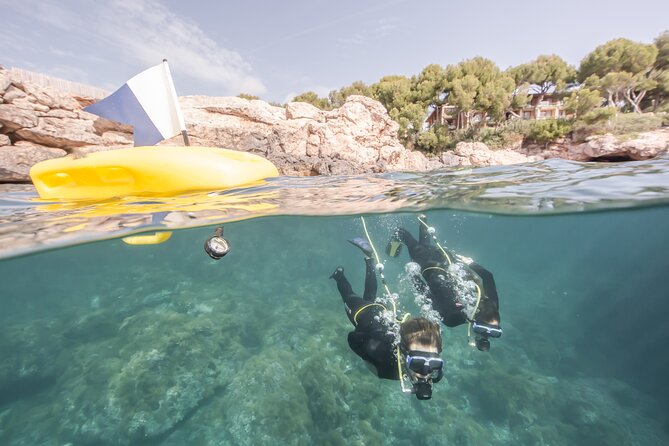 Discover Scuba Diving in Calabria, Italy - Key Points