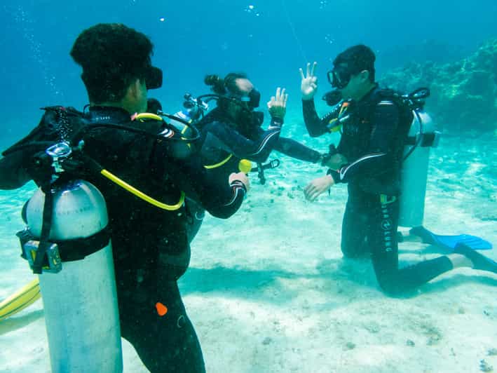 Discover Scuba Diving in Cozumel 2 Tanks - Booking Details