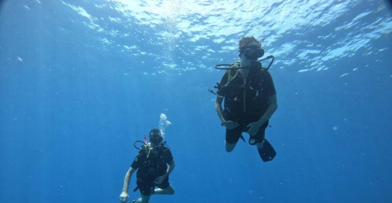 Discover Scuba Diving in Cozumel (Boat) - Pricing and Reservations