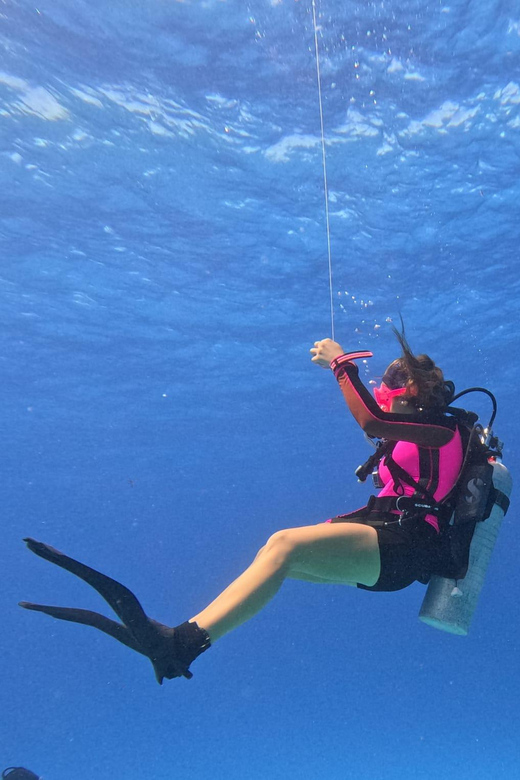 Discover Scuba Diving in Cozumel (Boat) - Itinerary Details