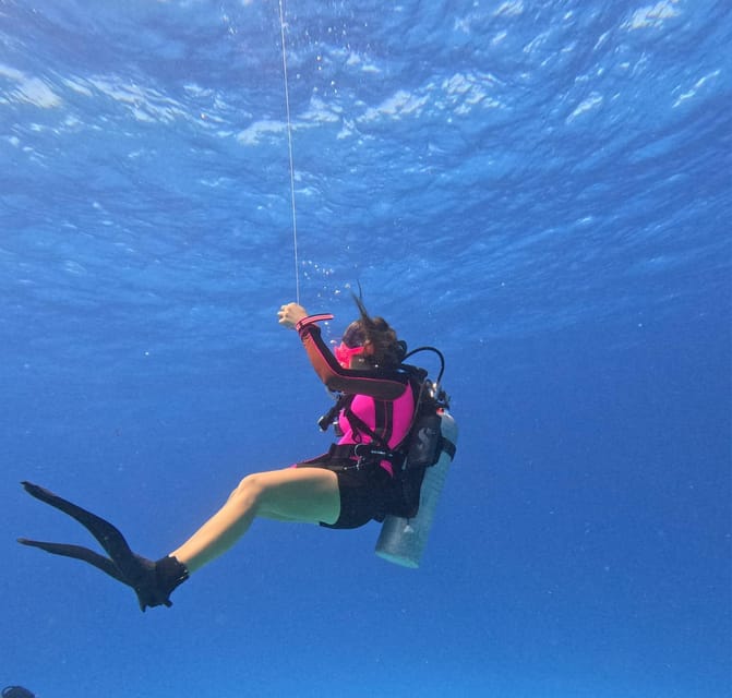 Discover Scuba Diving in Cozumel (Boat) - Explore Cozumels Renowned Reefs