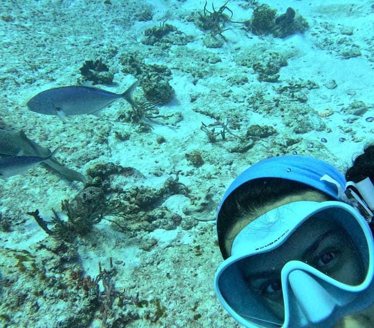 Discover Scuba Diving in Cozumel (Boat) - Capture Underwater Moments