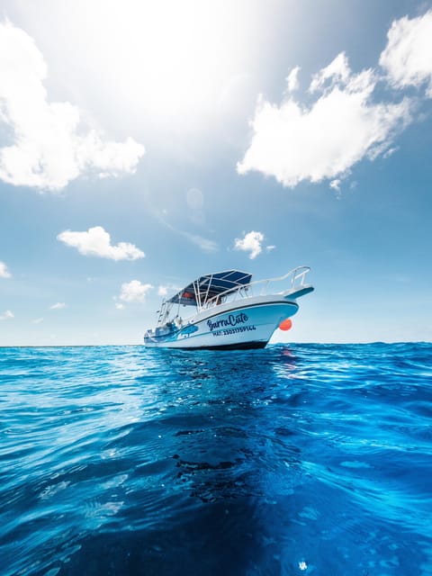 Discover Scuba Diving in Cozumel (Boat) - Frequently Asked Questions