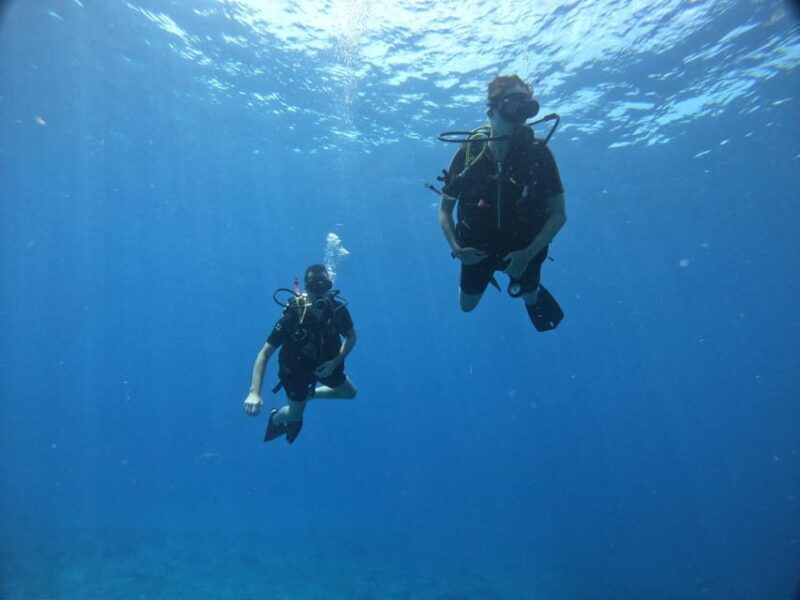 Discover Scuba Diving in Cozumel (By Shore) - Itinerary Details