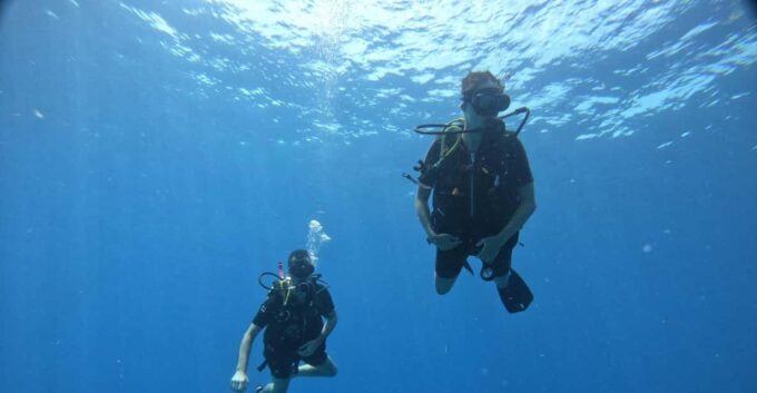 Discover Scuba Diving in Cozumel (By Shore) - Getting to the Meeting Point