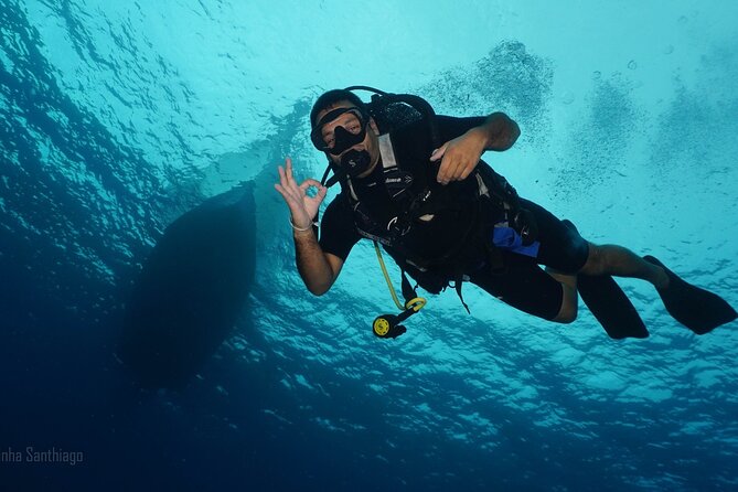 Discover Scuba Diving in Cozumel - Booking Information