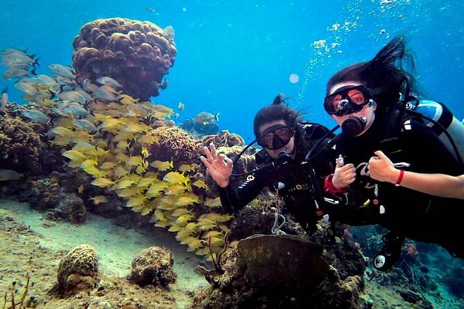 Discover Scuba Diving in Cozumel Paradise Reef - Provided Snacks and Beverages
