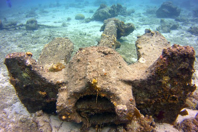 Discover Scuba Diving in Curacao - Positive Traveler Experiences