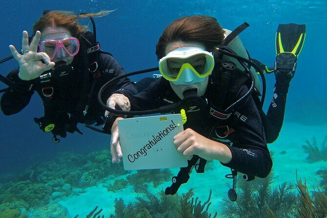 Discover Scuba Diving in Diver's Paradise! - Key Points