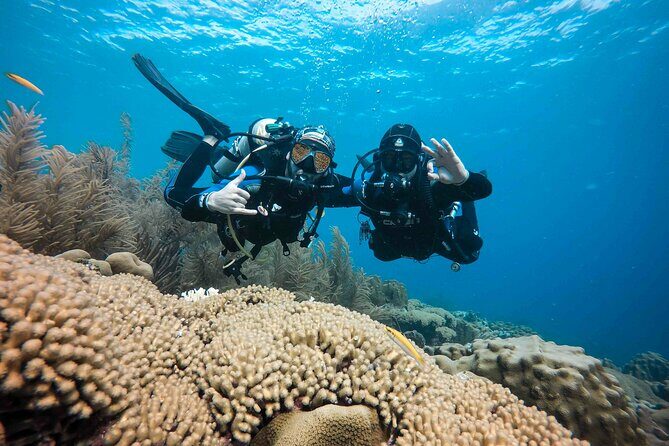 Discover Scuba Diving in Diver's Paradise! - An Introduction to Bonaire’s Underwater World