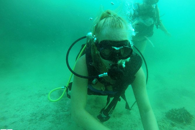 Discover Scuba Diving in Fujirah Dibba - Meeting and Pickup Details