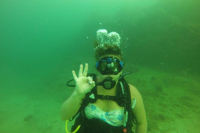 Discover Scuba Diving in Fujirah Dibba - Accessibility and Capacity