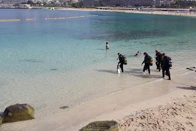 Discover Scuba Diving in Gran Canaria With Hotel Pick-Up - Reviews and Ratings