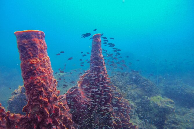 Discover Scuba Diving in Koh Rong - Meeting and Pickup