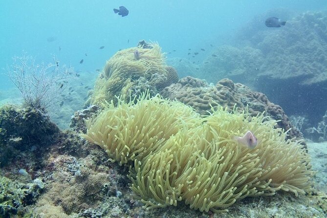 Discover Scuba Diving in Koh Rong - Diving Locations