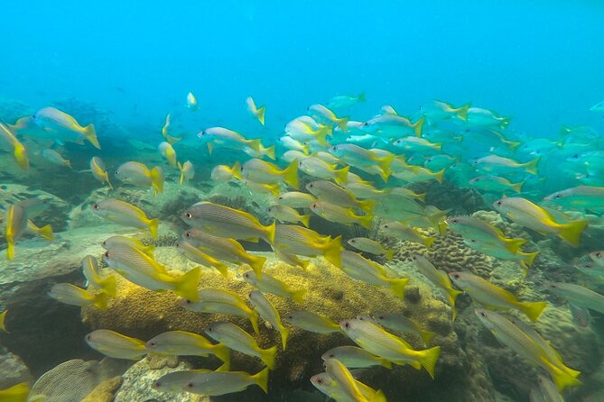 Discover Scuba Diving in Koh Rong - Preparing for the Dive