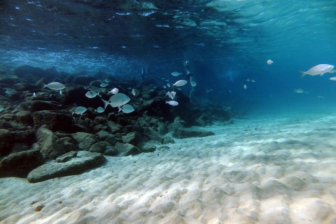 Discover Scuba Diving in Lanzarote (Costa Teguise) - Expert Instructor-Led Diving Lessons