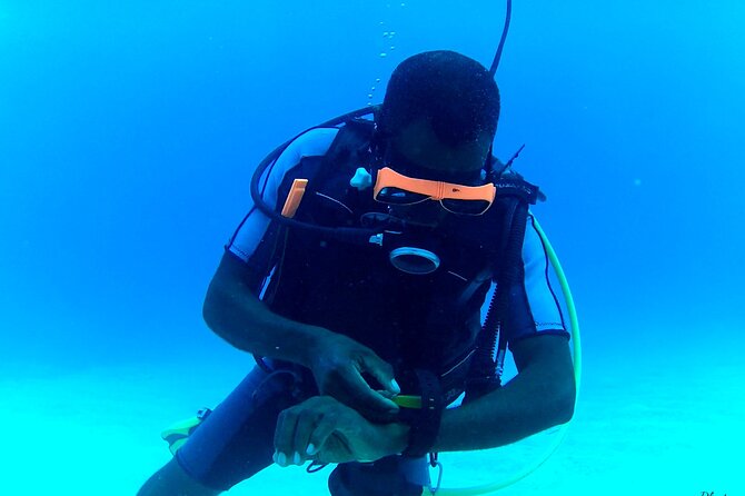 Discover Scuba Diving in Montego Bay W/ PADI Instructor - Reviews and Customer Feedback