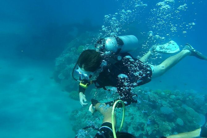 Discover Scuba Diving in Negril - The Itinerary in Detail