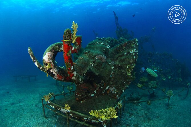 Discover Scuba Diving in Pemuteran at the Biorock Site,1 Shore Dive All Included - Glowing Reviews and Testimonials