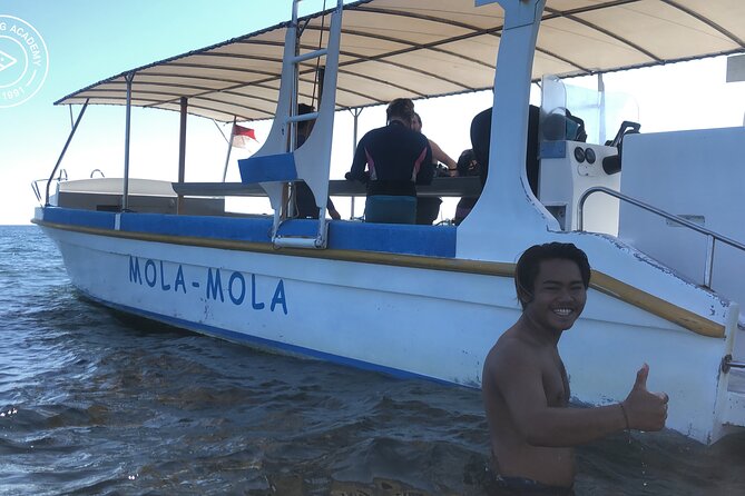Discover Scuba Diving in Pemuteran at the Biorock Site,1 Shore Dive All Included - Highlights of the Underwater Adventure