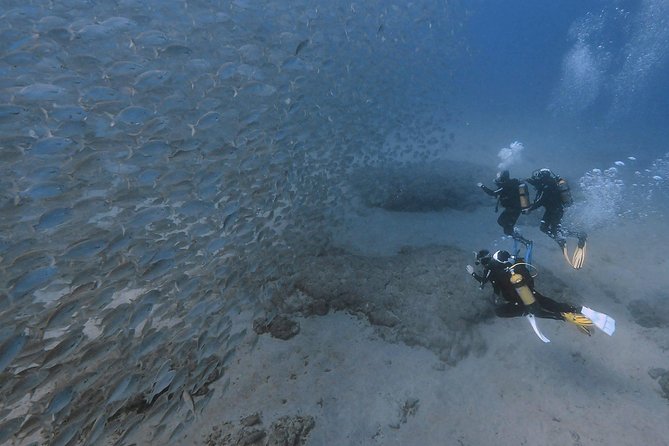 Discover Scuba Diving in Puerto De Mogan - Health and Fitness Requirements