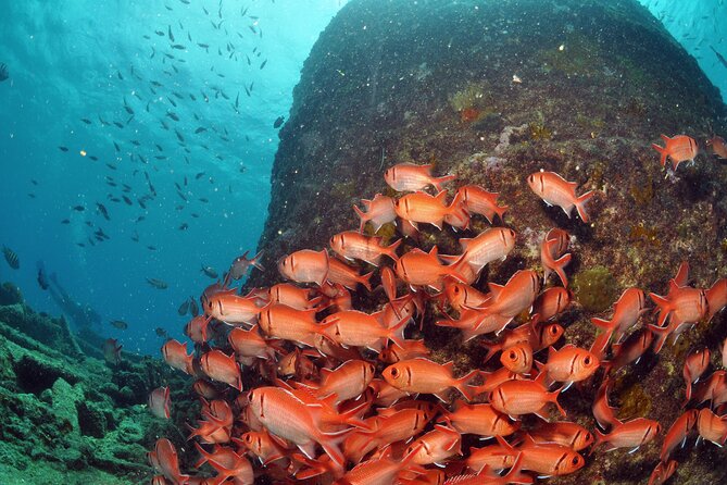 Discover Scuba Diving in Sal - Beginners Ages 10 and Up