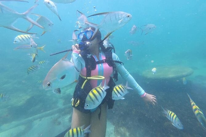 Discover Scuba Diving in San Juan, Puerto Rico - Caribe Hilton Hotel Amenities