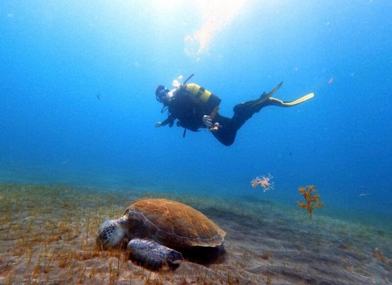 Discover Scuba Diving in the Ocean With Pictures and Snacks - Refreshments and Souvenirs