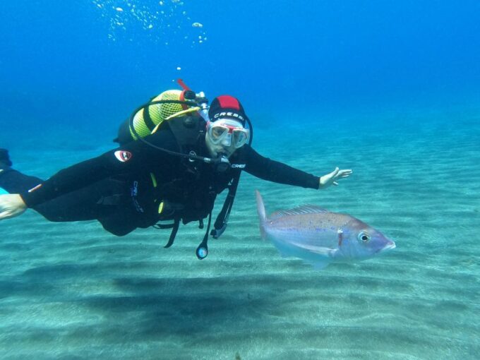 Discover Scuba Diving in the Ocean With Pictures and Snacks - Booking and Cancellation Policy
