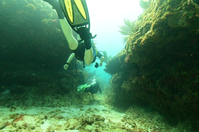 Discover Scuba Diving in Tulum - Instruction and Guide