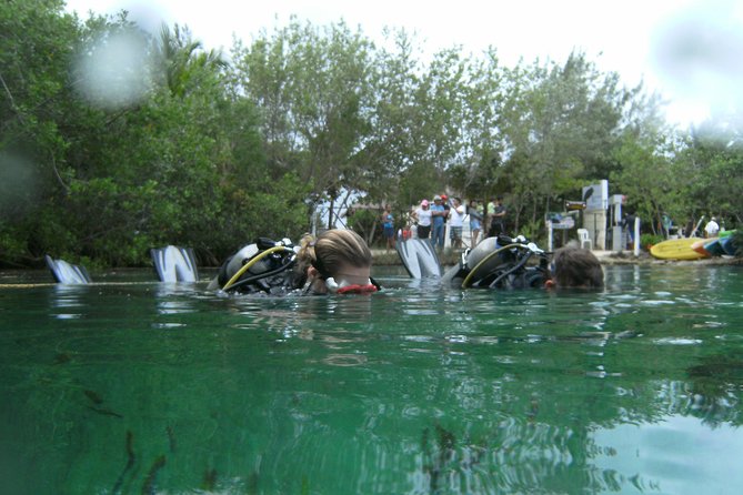 Discover Scuba Diving in Tulum - Booking Details