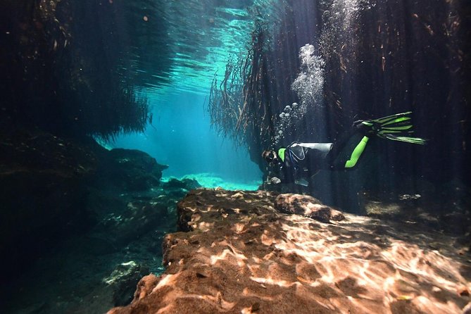 Discover Scuba Diving in Tulum - Upgrade Option