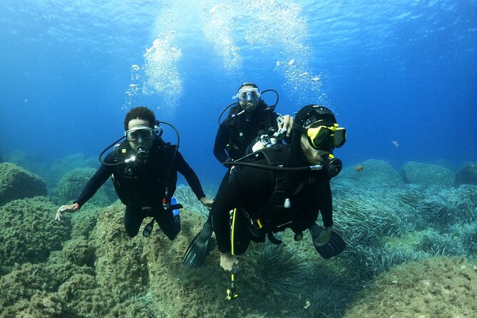 Discover Scuba Diving in Villasimius - Reviews and Recognition