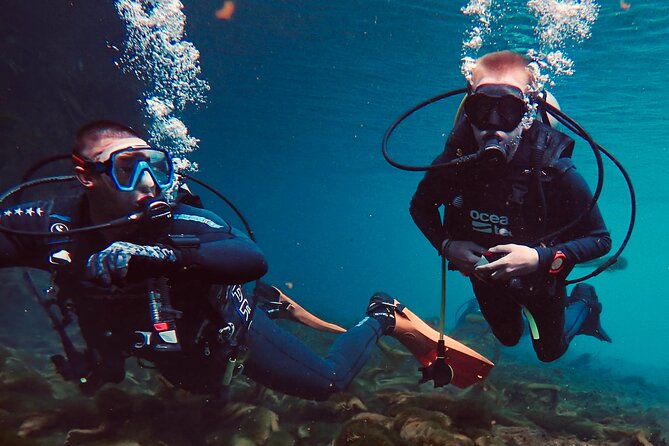 Discover Scuba Diving On The Beautiful Rainbow River - Key Points