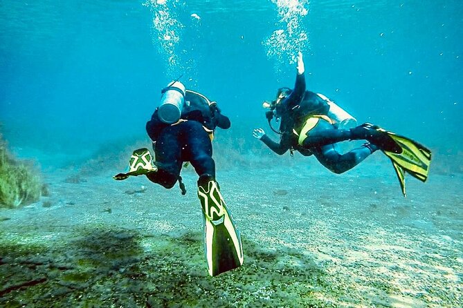 Discover Scuba Diving On The Beautiful Rainbow River - Booking Confirmation and Transportation