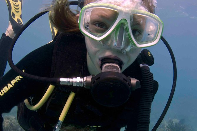 Discover Scuba Diving - One Tank at Coral Reef - Inclusions and Exclusions