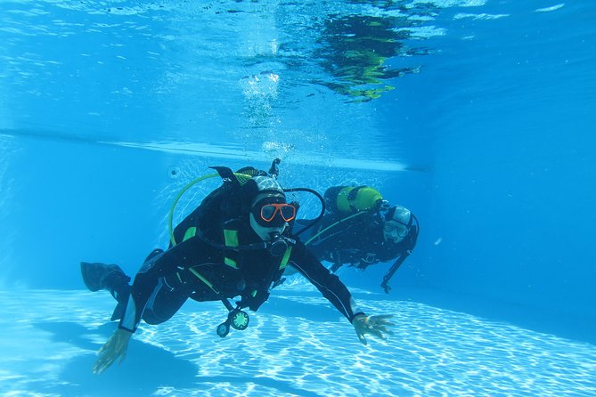 Discover Scuba Diving or Try Dive - Shallow Water Dive Exploration