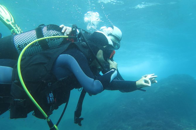 Discover Scuba Diving or Try Dive - Pricing and Inclusions