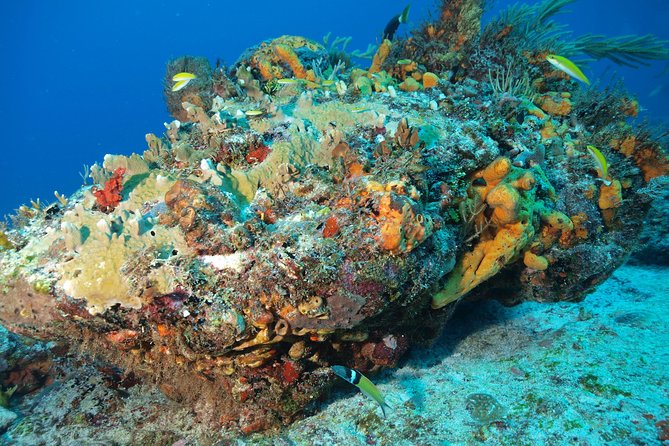 Discover Scuba Diving PADI in Playa Del Carmen Including Underwater Video - Whats Included