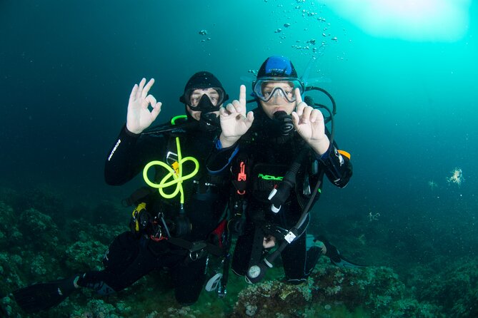 Discover Scuba Diving PADI - Trial Dive in Sorrento - Quick Points
