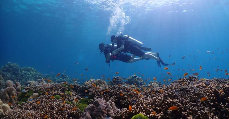 Discover Scuba Diving Racha Yai From Phuket - Scuba Diving Adventure